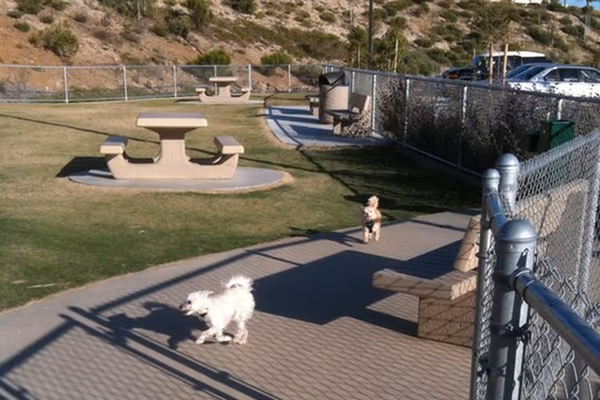 Mount San Miguel Dog Park photo 1